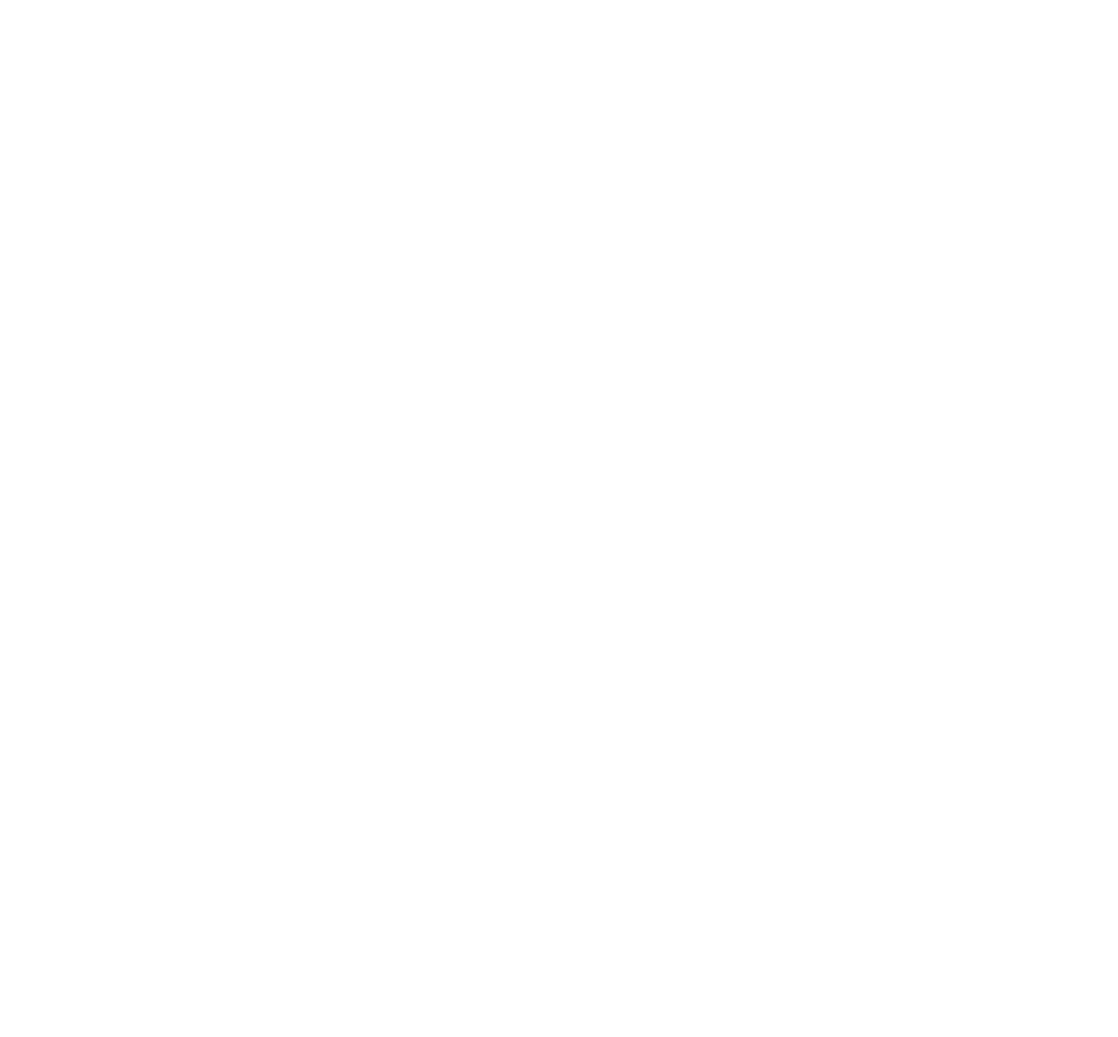 logo fanainga